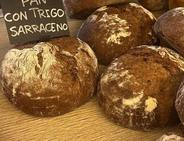 pan con trigo sarraceno